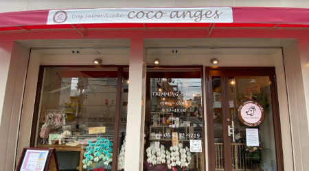 Dog Salon＆cafe Coco Anges ドッグサロンココアンジュ